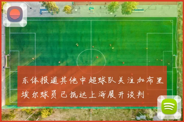 东体报道其他中超球队关注加布里埃尔球员已抵达上海展开谈判