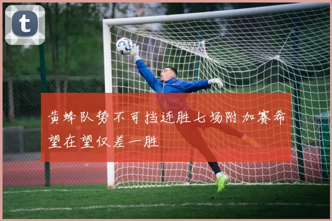 黄蜂队势不可挡连胜七场附加赛希望在望仅差一胜