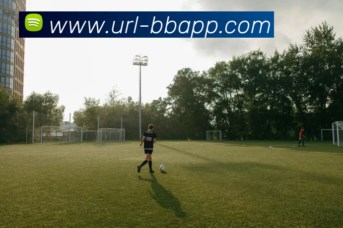 BB体育APP 封面图